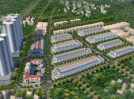 Dự Án Dragon Pearl - Đức Hòa, Long An